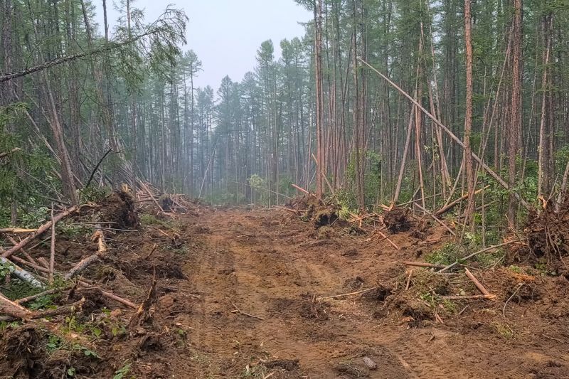 Land Clearing in Katy, TX